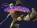 Permainan Permainan Kad Memori Kura-kura Ninja talian