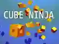 Permainan Ninja Kiub talian Permainan Ninja Kiub talian