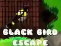 Permainan Pelarian Burung Hitam talian