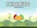 Permainan Burung Sains talian