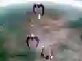 Permainan Scape Shotter talian Permainan Scape Shotter talian