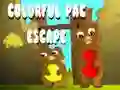 Permainan Pelarian Pac Berwarna talian
