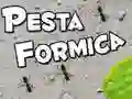 Permainan Pesta Ant talian Permainan Pesta Ant talian
