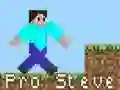 Permainan Pro Steve talian