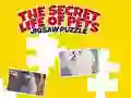 Permainan Kehidupan Rahsia Haiwan Peliharaan: Puzzle talian