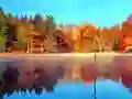 Permainan Simulator Memancing Dalam Talian talian