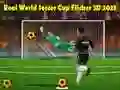 Permainan Piala Dunia Bola Sepak Sebenar Flicker 3D 2023 talian