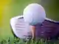 Permainan Cabaran Golf Tidak Terbuka talian