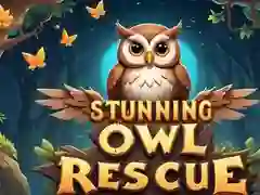 Permainan Penjagaan Burung Hantu yang Menakjubkan talian Permainan Penjagaan Burung Hantu yang Menakjubkan talian