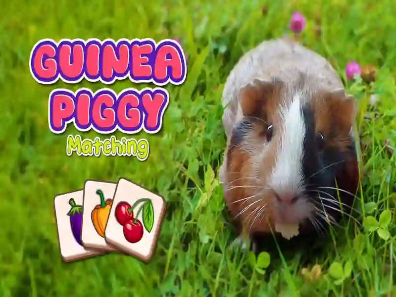 Permainan Pencocokan Piggy Guinea talian Permainan Pencocokan Piggy Guinea talian