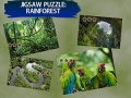 Permainan Puzzle Hutan Hujan talian