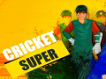 Permainan Kriket Super talian