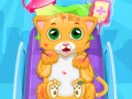 Permainan Doktor Kucing Kecil talian