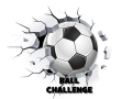 Permainan Cabaran Bola talian