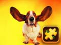 Permainan Teka-teki Anjing Lucu talian