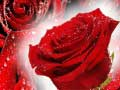 Permainan Mawar Merah talian