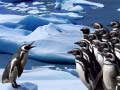 Permainan Gelongsor Penguin talian