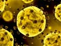 Permainan Gelongsor Coronavirus talian