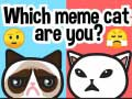 Permainan Kucing meme mana anda? talian