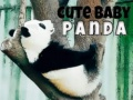 Permainan Panda Kecil Comel talian