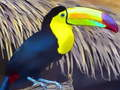 Permainan Puzzle Burung Tukan talian