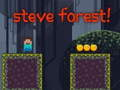 Permainan Hutan Steve talian