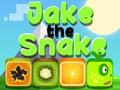 Permainan Jake Ular talian