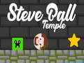Permainan Kuil Steve Ball talian
