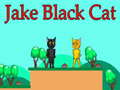 Permainan Jake Kucing Hitam talian