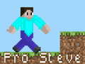 Permainan Pro Steve talian