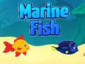 Permainan Ikan Marin talian