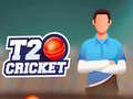 Permainan Kriket T20 talian