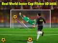 Permainan Piala Dunia Bola Sepak Sebenar Flicker 3D 2023 talian