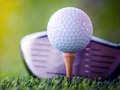 Permainan Cabaran Golf Tidak Terbuka talian
