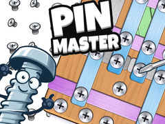 Permainan Master Pin talian