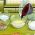 Sekolah memasak Sekolah memasak dalam talian
