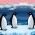 Penguin Penguin dalam talian