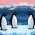 Penguin  dalam talian
